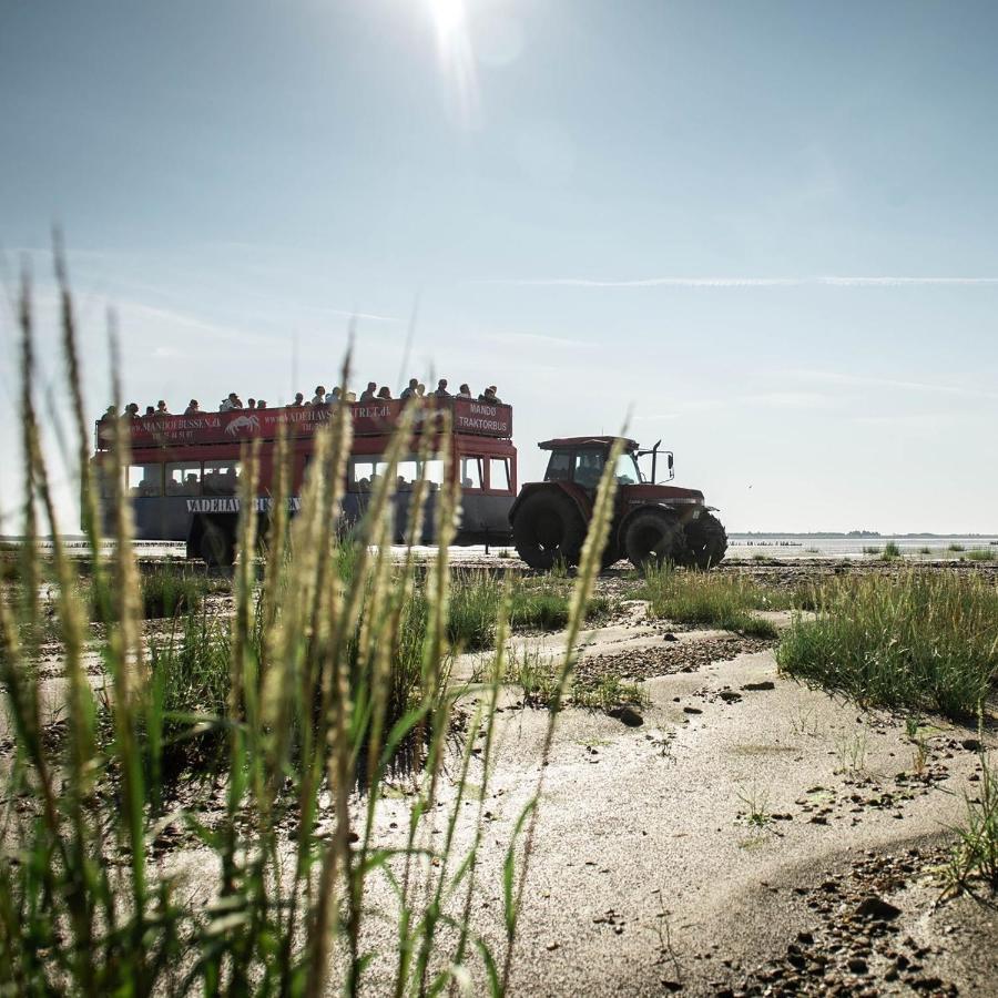 Lustrup Farmhouse Ribe Exterior foto